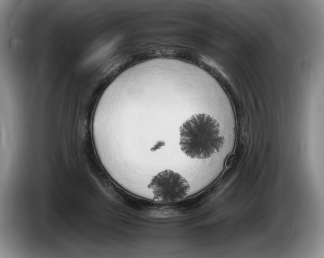 X0000083600451200703091745