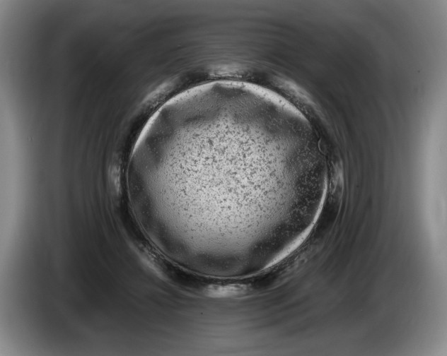 X0000083600452200703091745