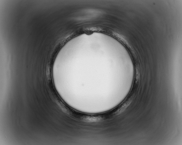 X0000083600453200703091745