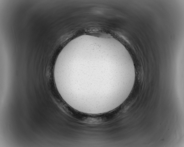 X0000083600455200703091745