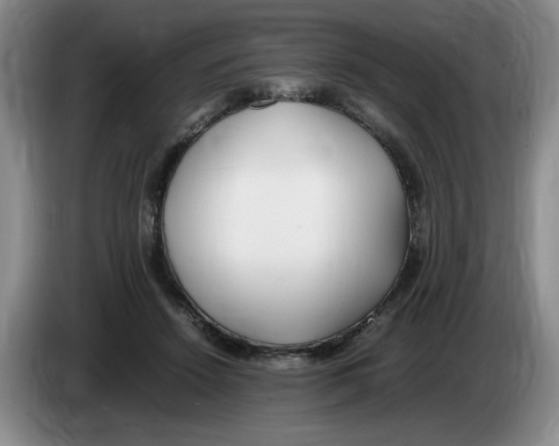 X0000083600456200703091745