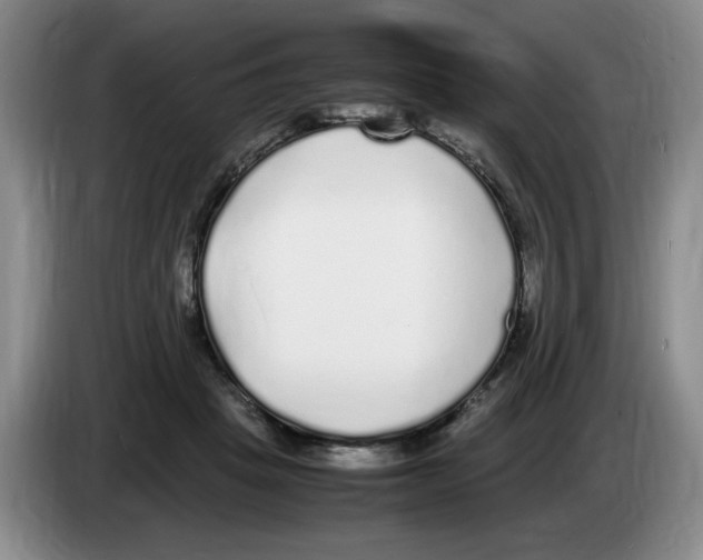 X0000083600457200703091745