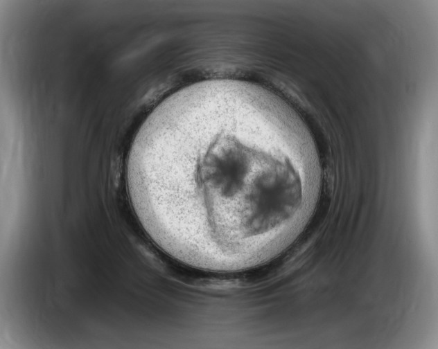 X0000083600458200703091745