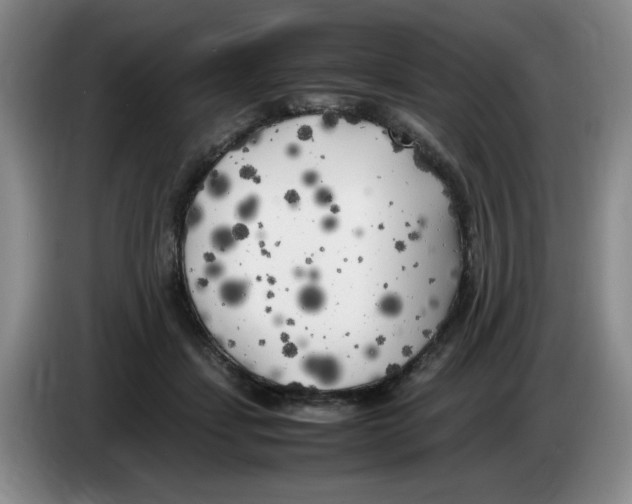 X0000083600459200703091745