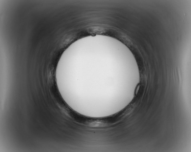 X0000083600460200703091745