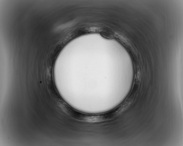 X0000083600461200703091745