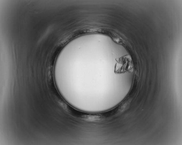 X0000083600462200703091745