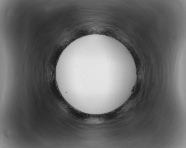 X0000083600464200703091745