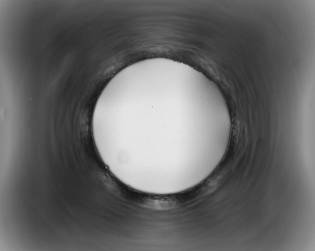 X0000083600466200703091745