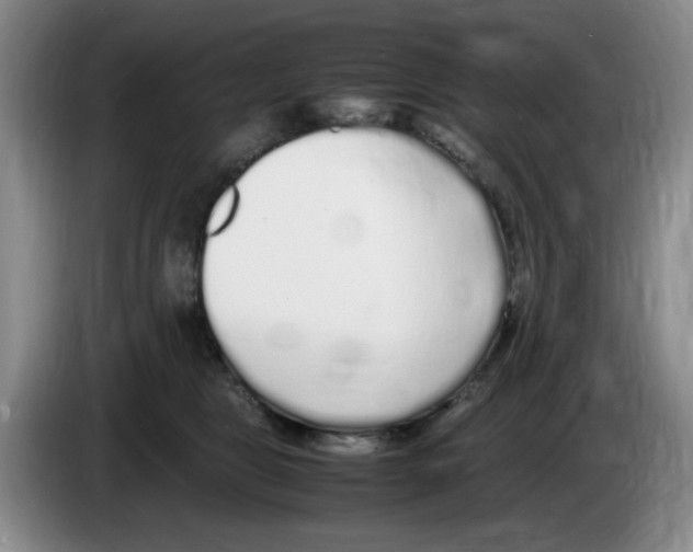 X0000083600469200703091745