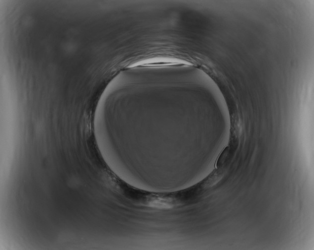 X0000083600471200703091745