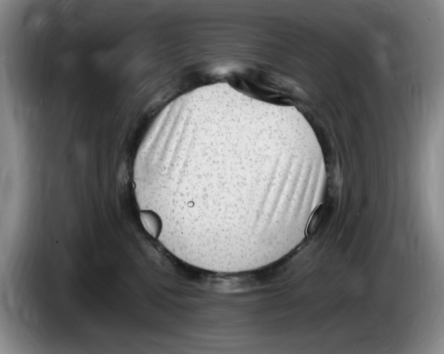 X0000083600472200703091745