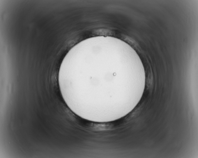 X0000083600473200703091745