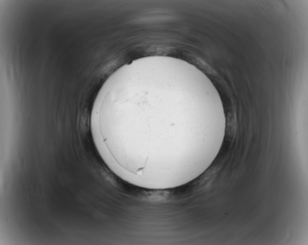 X0000083600474200703091745