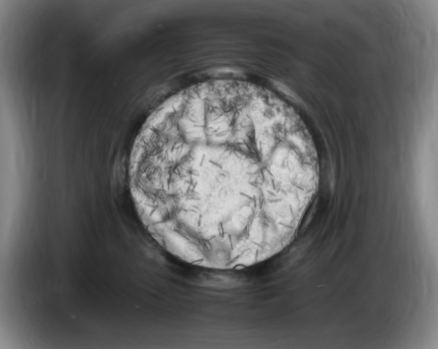 X0000083600475200703091745