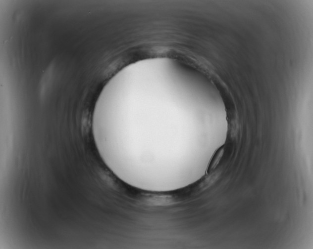 X0000083600476200703091745