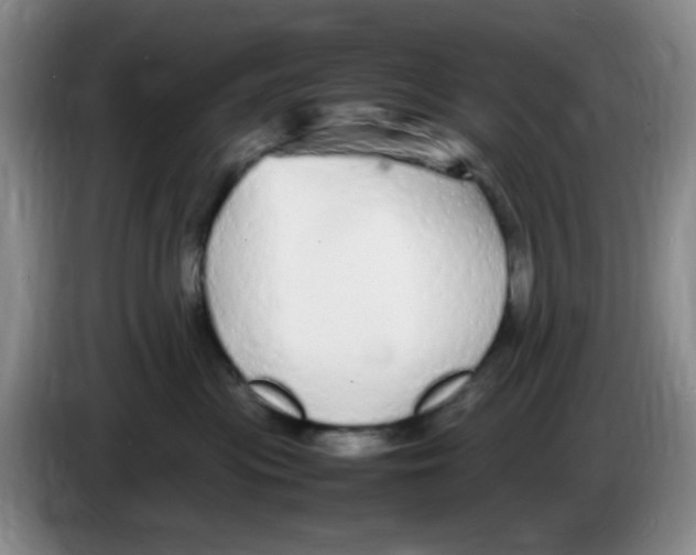 X0000083600477200703091745