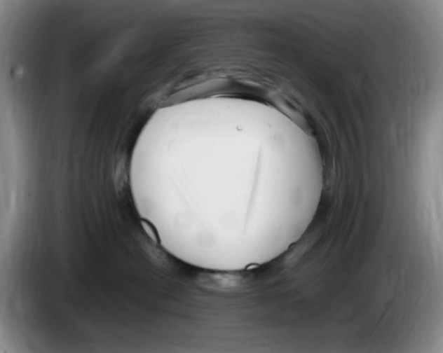 X0000083600478200703091745