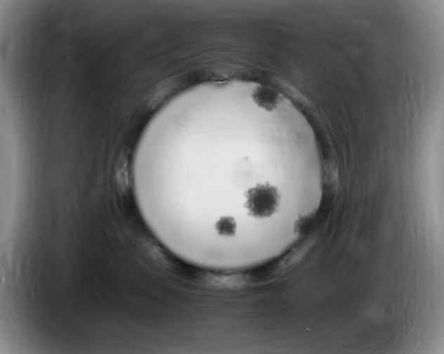 X0000083600479200703091745