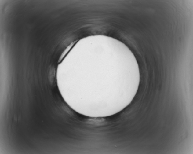 X0000083600480200703091745