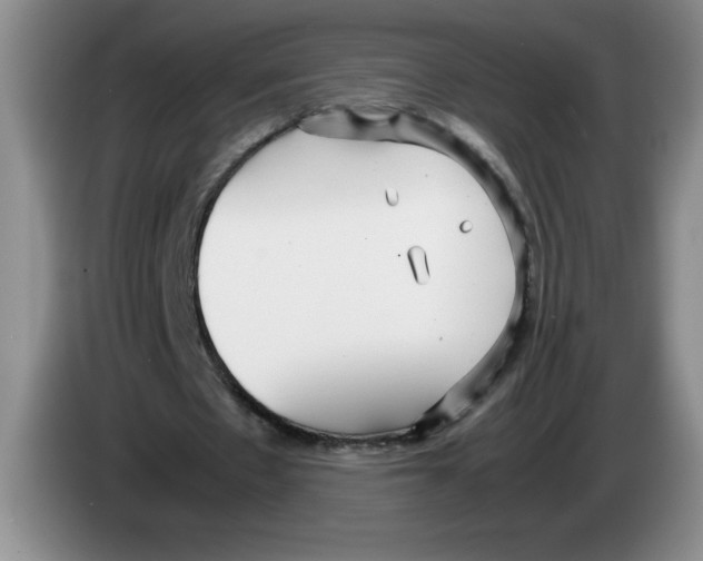 X0000083600481200703091744