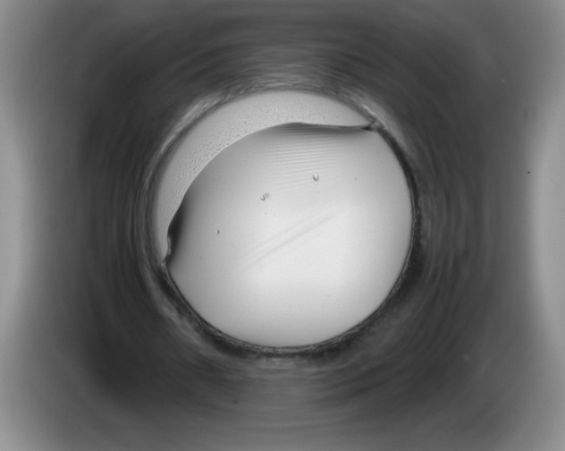 X0000083600482200703091744