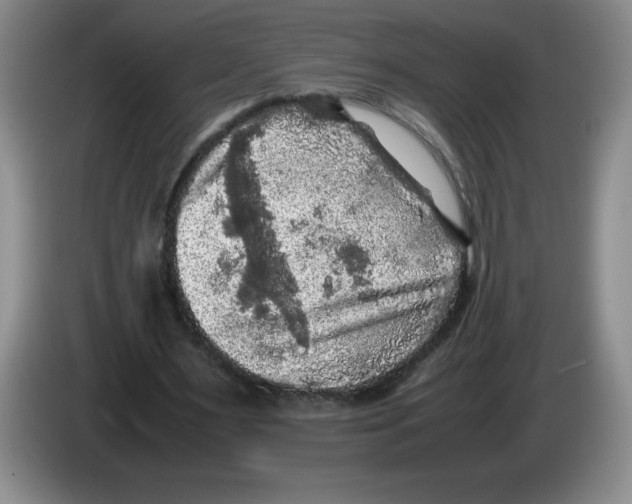 X0000083600483200703091744