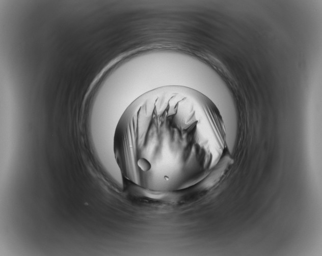 X0000083600484200703091744