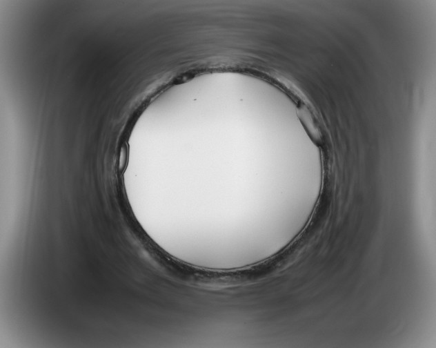 X0000083600485200703091744