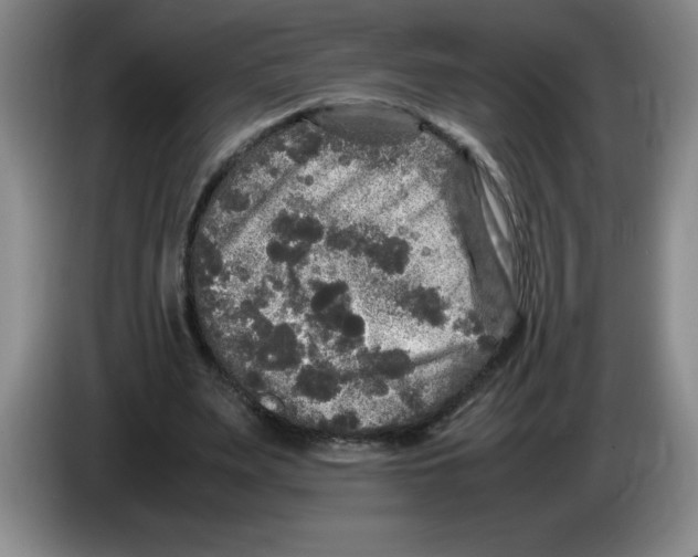 X0000083600487200703091744