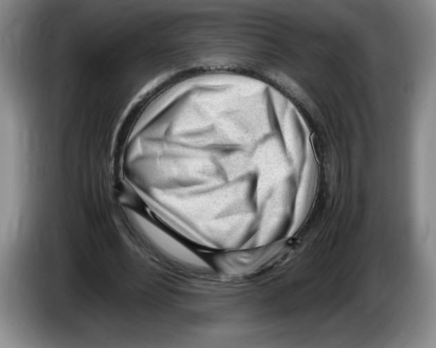 X0000083600488200703091744