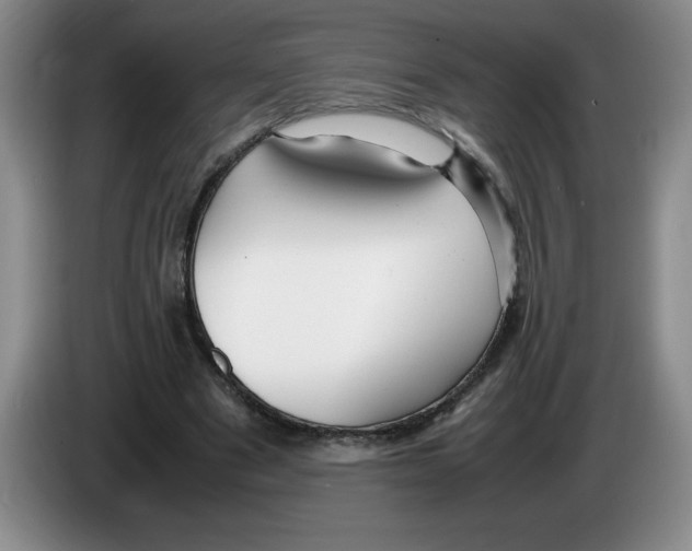 X0000083600489200703091744