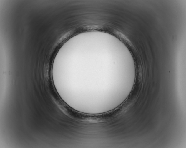 X0000083600490200703091744