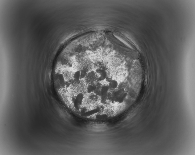 X0000083600491200703091744