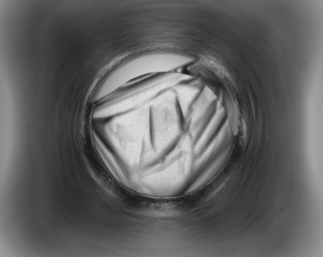 X0000083600492200703091744