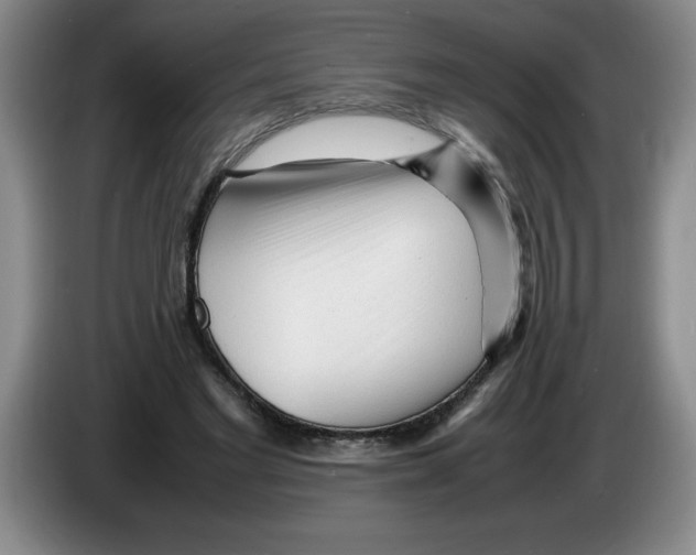 X0000083600493200703091744