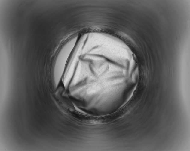 X0000083600496200703091744