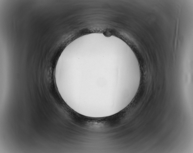 X0000083600498200703091744