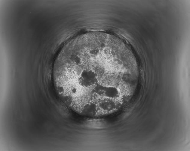 X0000083600499200703091744