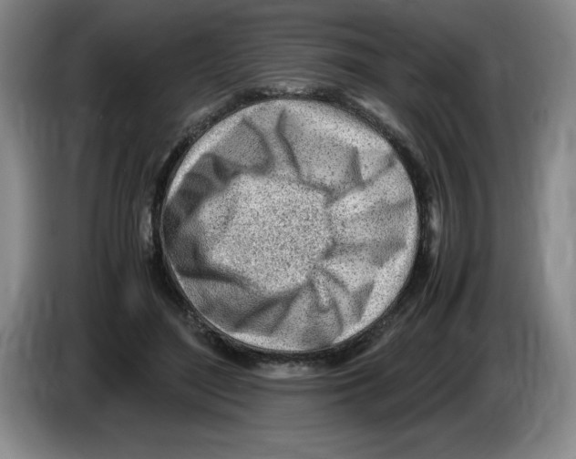 X0000083600500200703091744