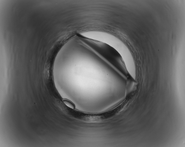 X0000083600501200703091744