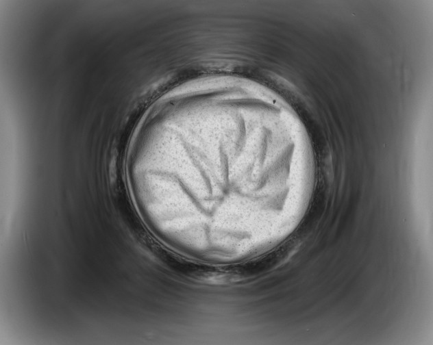 X0000083600504200703091744