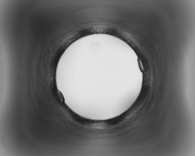 X0000083600505200703091744