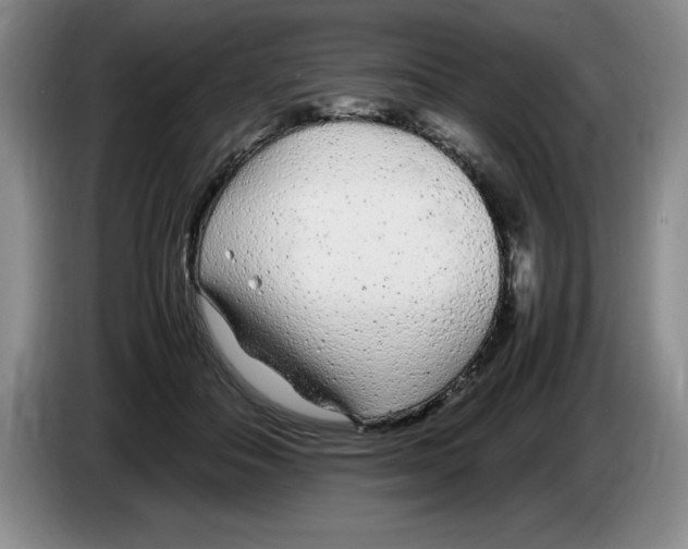 X0000083600506200703091744