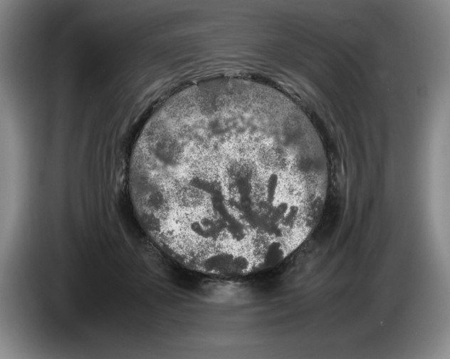 X0000083600507200703091744