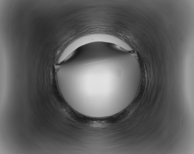 X0000083600508200703091744