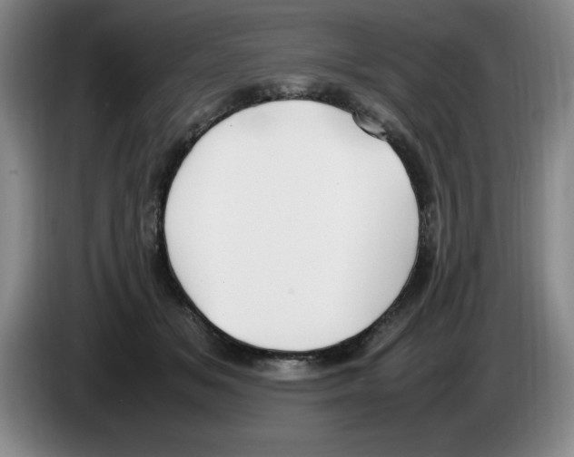 X0000083600509200703091744