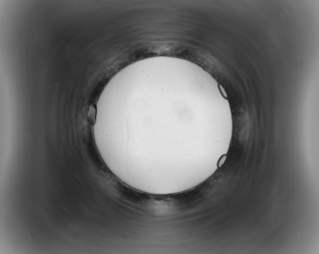 X0000083600510200703091744