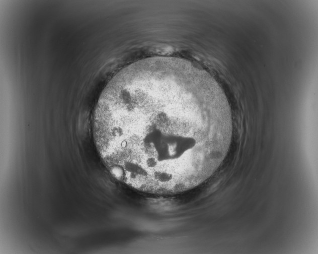 X0000083600511200703091744