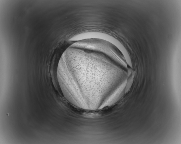 X0000083600512200703091744